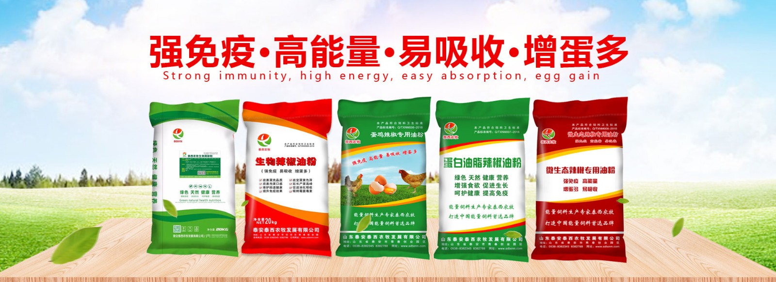 泰安泰西農(nóng)牧提醒您：要想產(chǎn)好蛋必須養(yǎng)好雞