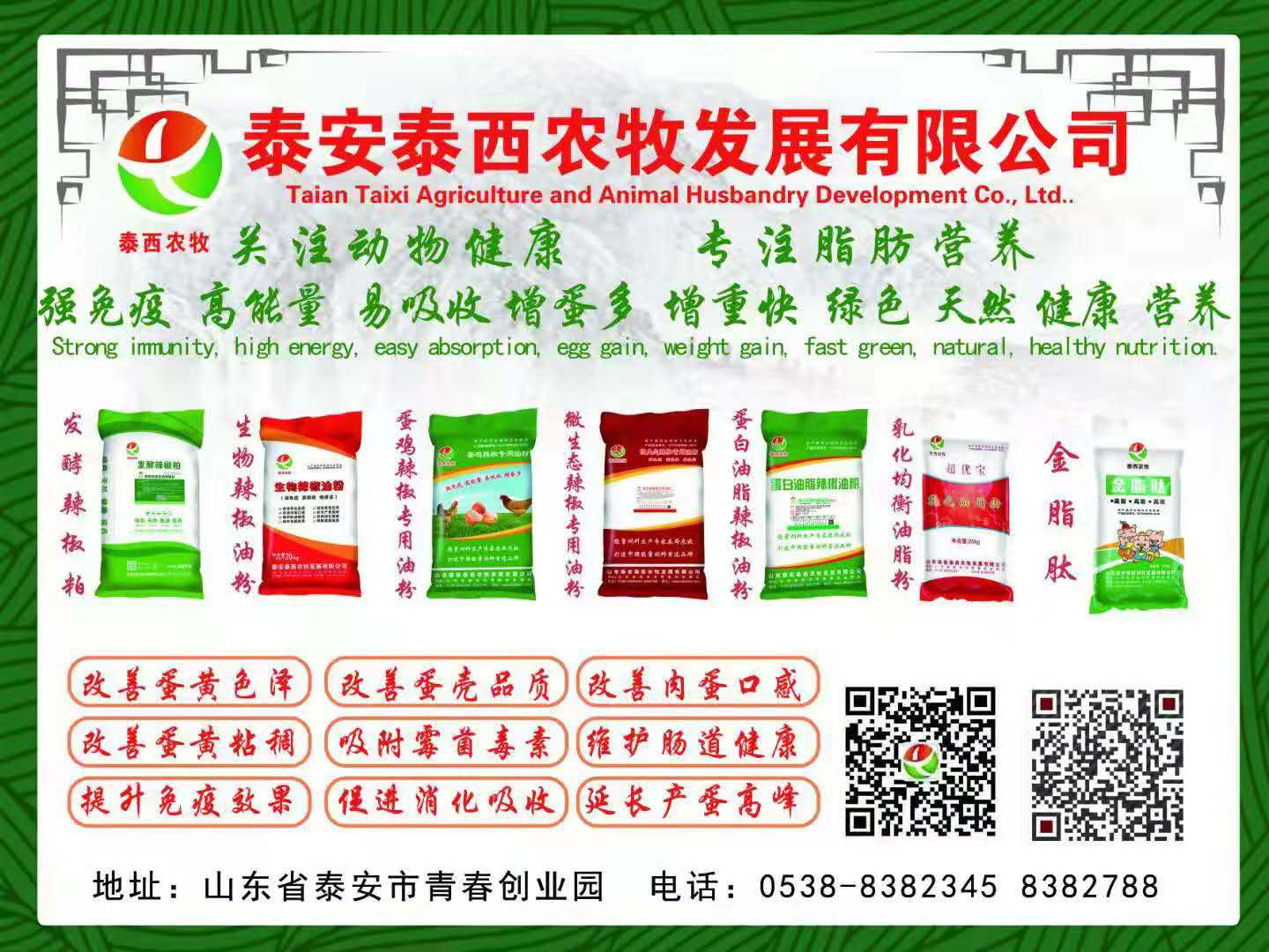 泰西農(nóng)牧提建議養(yǎng)戶及時淘雞并補欄抓緊賺錢黃金時期