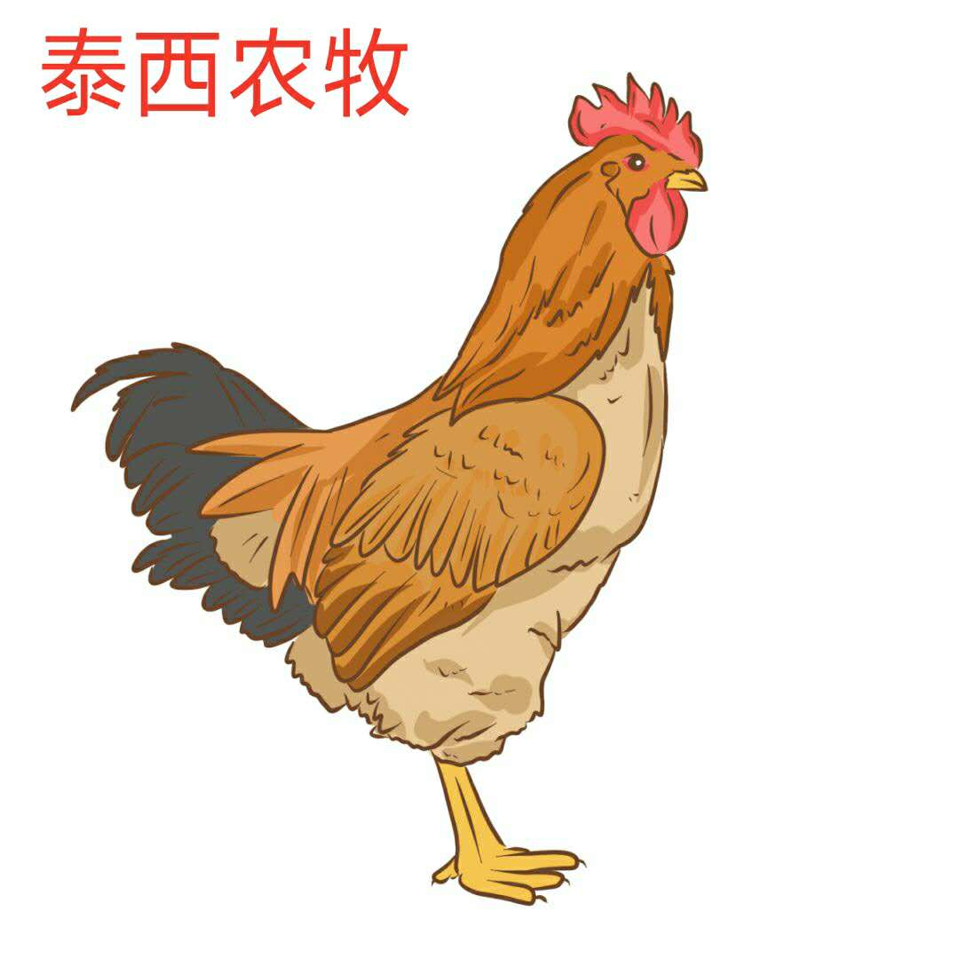 發(fā)酵辣椒粕好不好，我說了算。