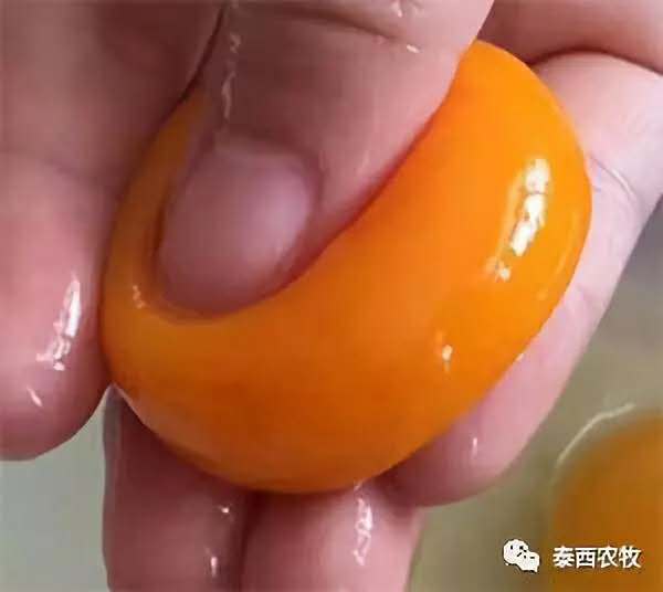 你知道添加蛋雞辣椒油粉的好處嗎？