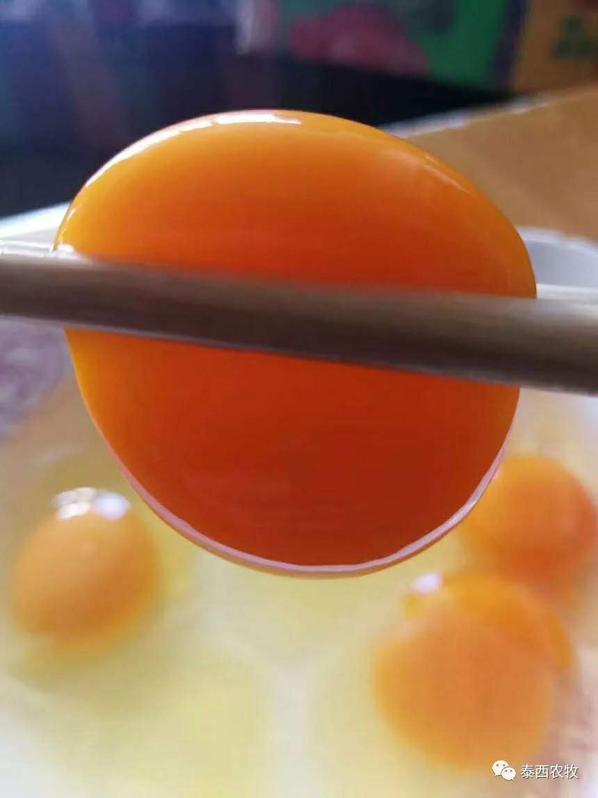 發(fā)酵辣椒粕的功效及注意事項(xiàng)！