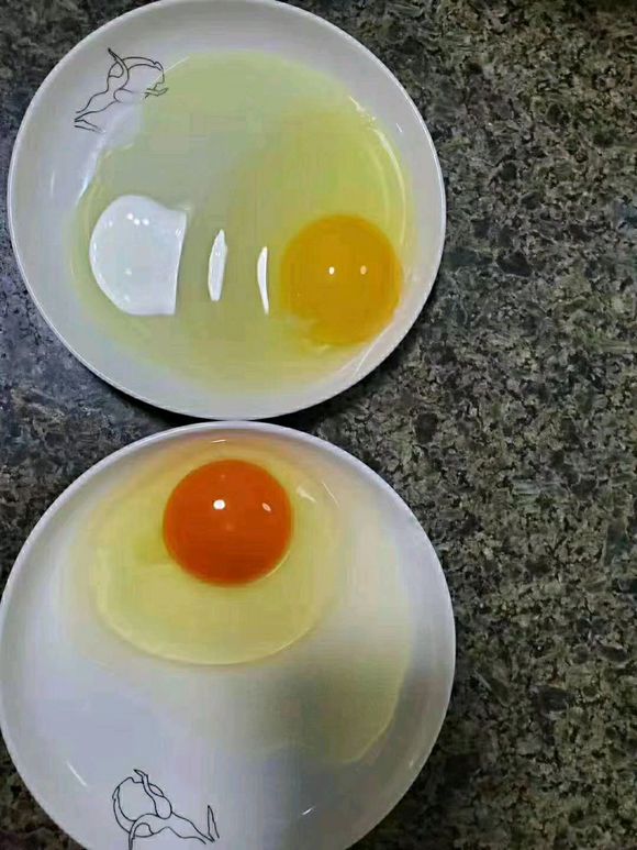 泰西農(nóng)牧：養(yǎng)雞先養(yǎng)肝！