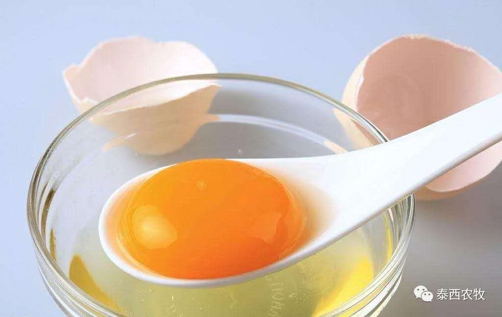 泰西農(nóng)牧-蛋黃油對小孩有什么好處？
