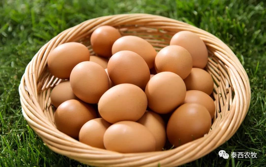 泰西農(nóng)牧—乳化均衡油脂粉