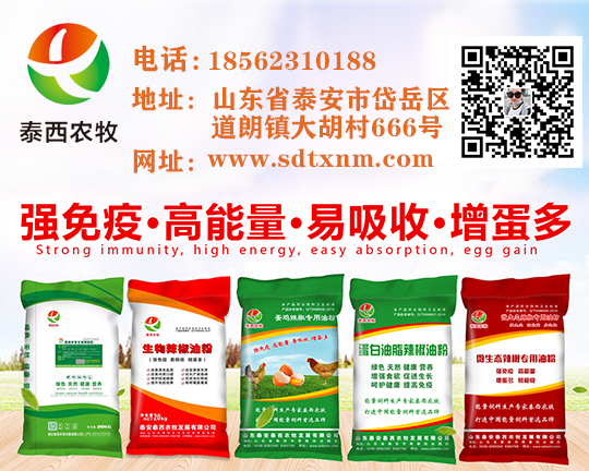 喂雞想要腸道好就用泰西農(nóng)牧蛋雞辣椒專用油粉