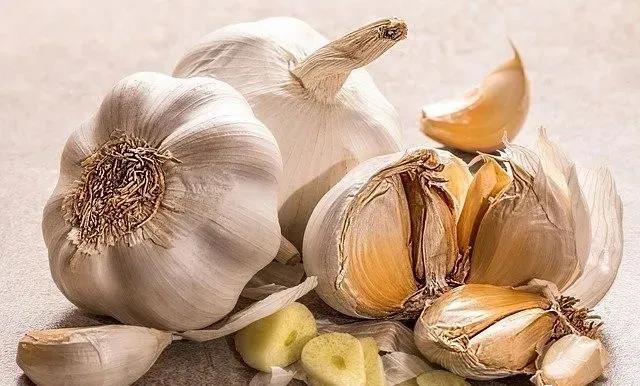 泰西農(nóng)牧--大蒜粉在養(yǎng)雞中的妙用 蛋雞辣椒專用油粉