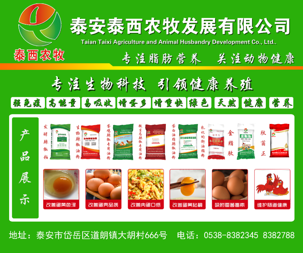 泰西農(nóng)牧乳化油脂粉提醒您冬天養(yǎng)雞需要注意的幾點(diǎn)注意 發(fā)酵辣椒粕 蛋雞辣椒專用油粉