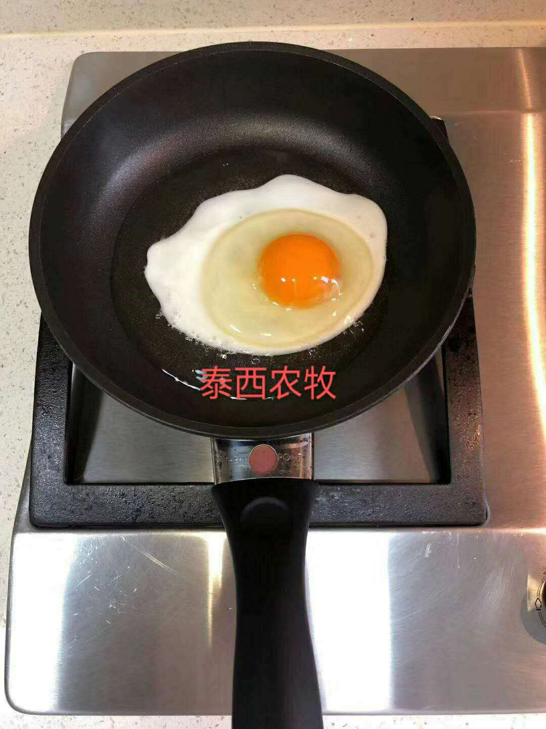 養(yǎng)雞喂泰西農(nóng)牧辣椒油粉效果好能量全 降成本活性高