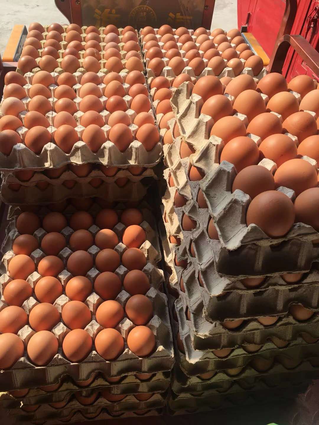 泰西農(nóng)牧發(fā)酵辣椒粕提醒您養(yǎng)殖業(yè)政策正在發(fā)生的變化，想要賺錢的必看！