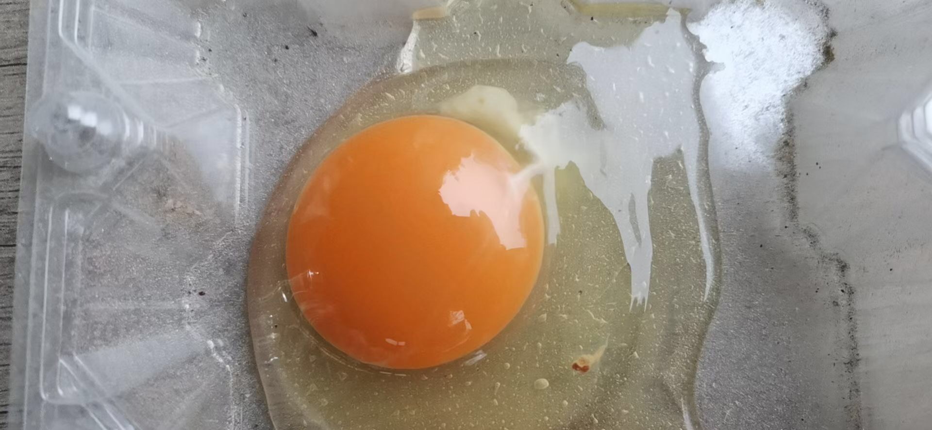 泰西農(nóng)牧蛋雞辣椒油粉解決蛋殼破損蛋殼薄等問(wèn)題發(fā)酵中藥飼料原料