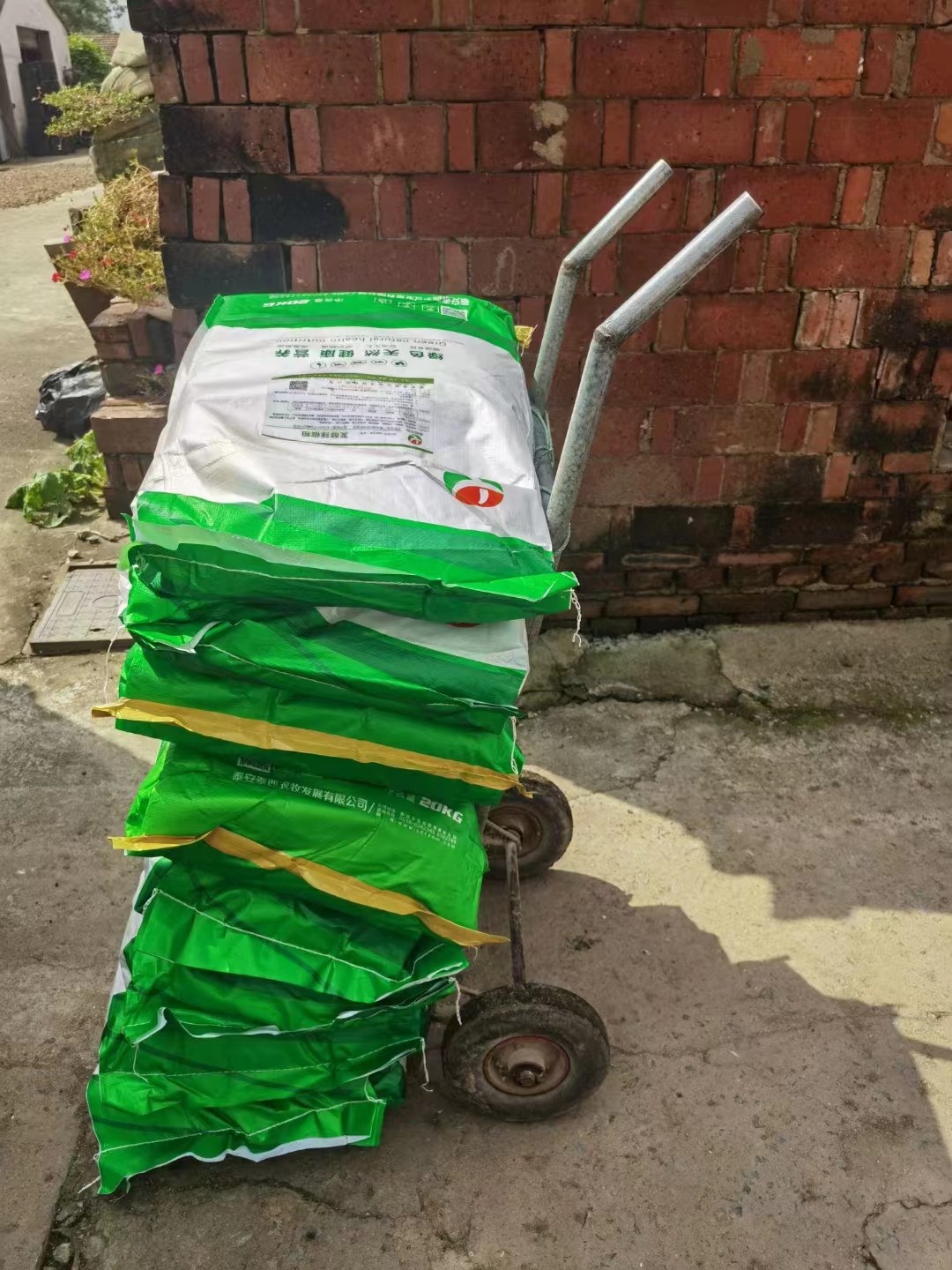 蛋雞挑食添加泰西農(nóng)牧發(fā)酵辣椒粕能提高雞群采食減少腸炎發(fā)生