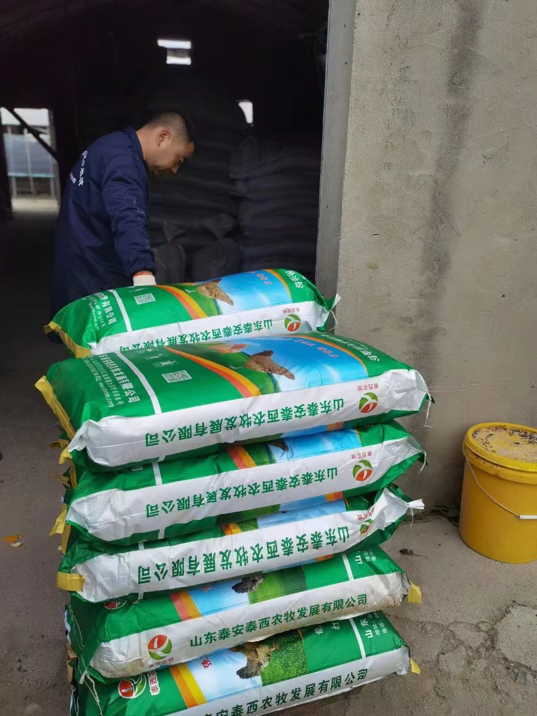 冬季蛋雞添加蛋雞辣椒油粉使雞增熱 提高抗寒能力 同時增加供暖