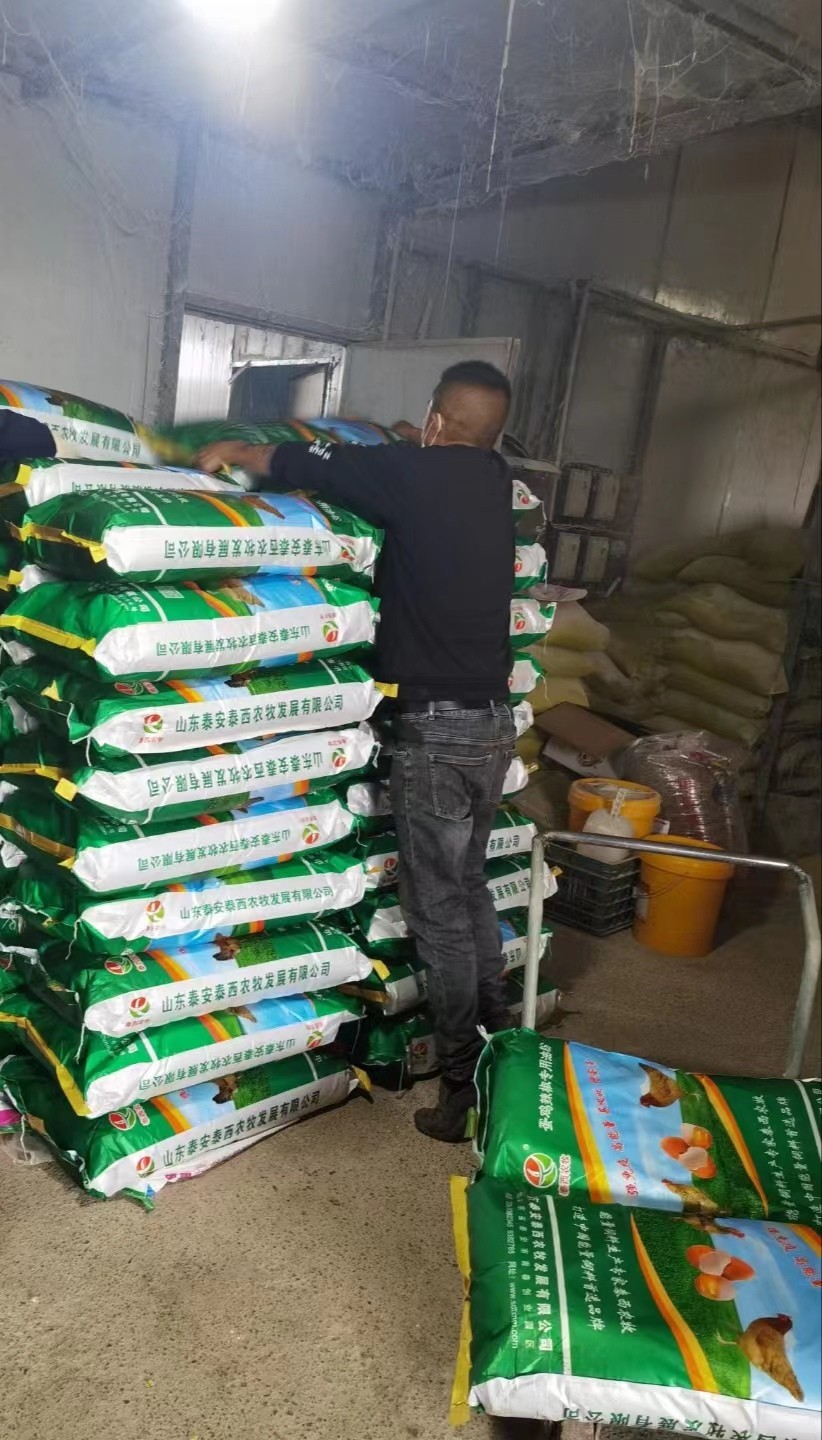 冬季氣溫下降添加蛋雞辣椒油粉預(yù)防產(chǎn)蛋率下降