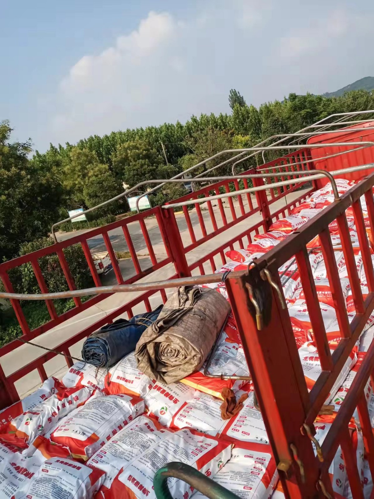 生物辣椒油粉提醒養(yǎng)雞有雞冠子變大變紅半月后才會產蛋