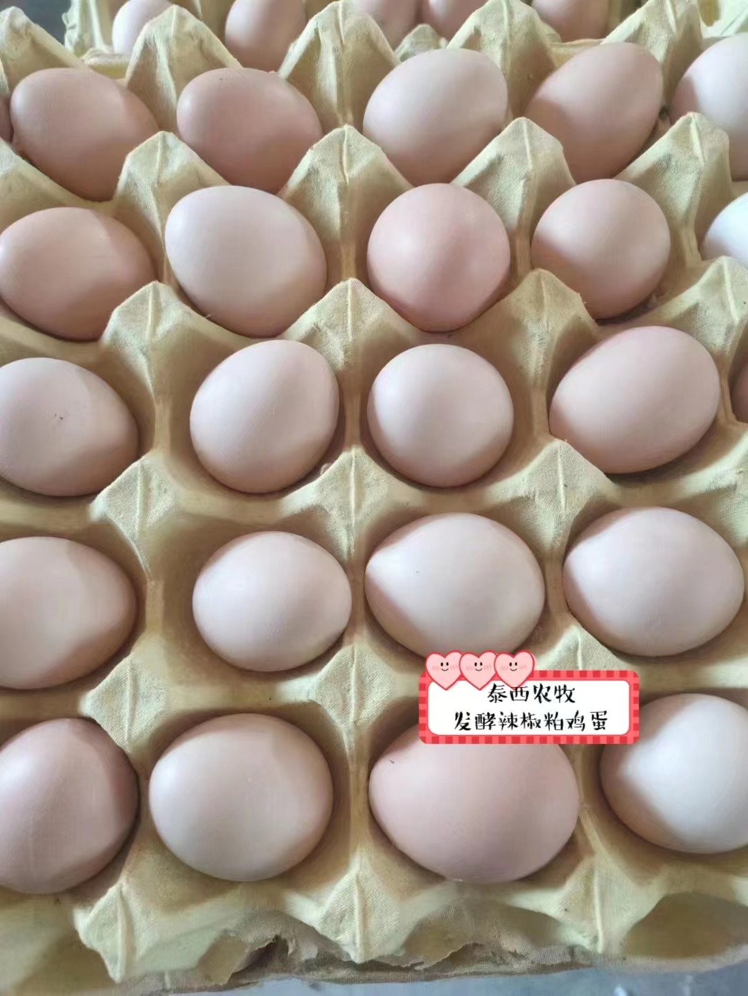 雞蛋均勻度差 質(zhì)量差添加蛋雞辣椒油粉