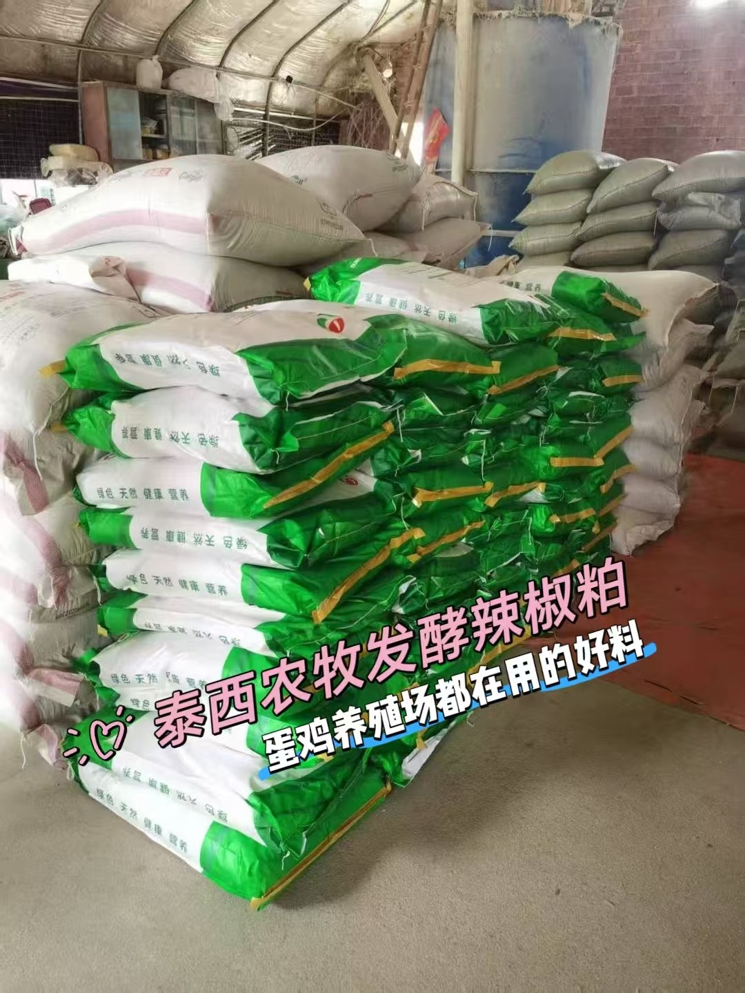 泰西農牧發(fā)酵辣椒粕夏季蛋雞養(yǎng)殖的好處