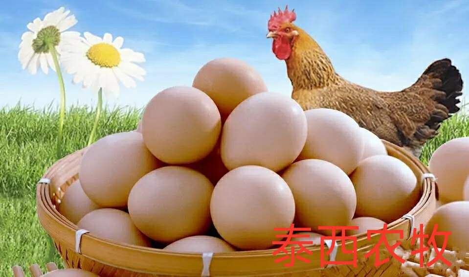 夏季使用乳化均衡油粉有哪些優(yōu)勢(shì)？