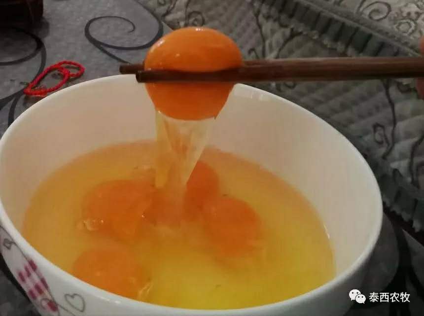 發(fā)酵料對禽蛋品質(zhì)的影響！