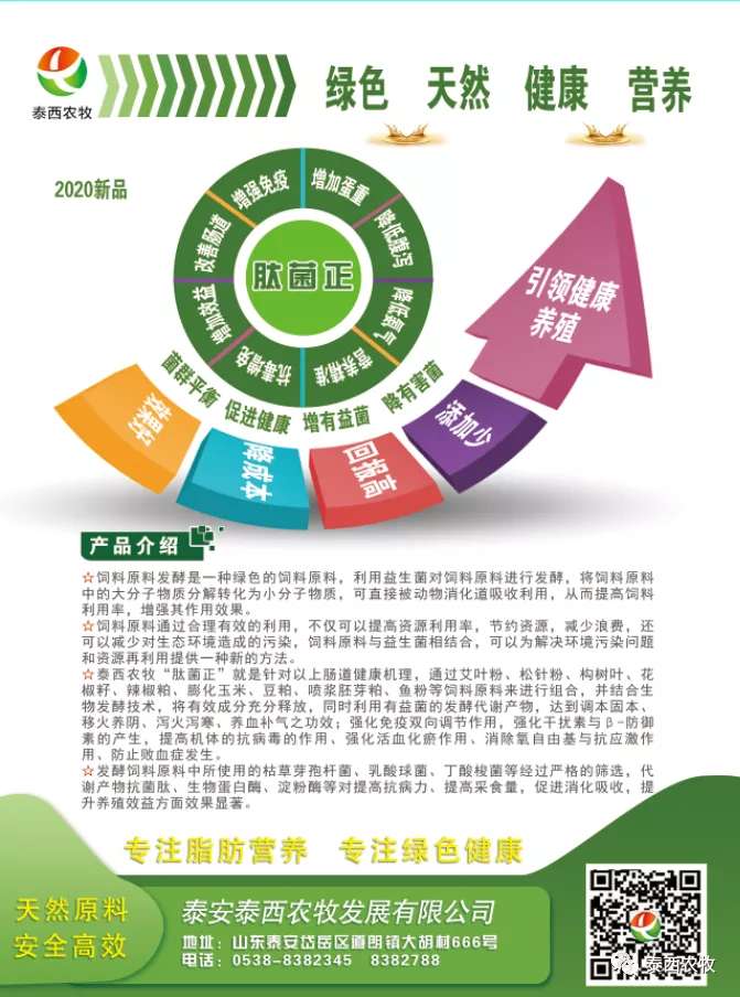 泰西農(nóng)牧----肽菌正