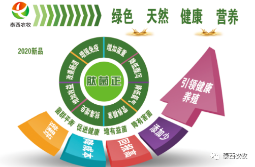 蛋雞預(yù)混料泰西農(nóng)牧出新品--肽菌正