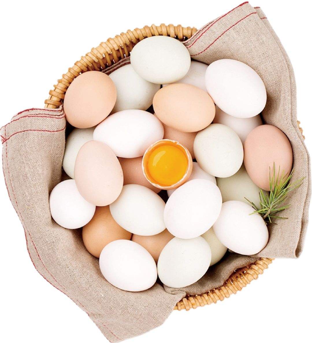 種禽蛋管理--泰西農(nóng)牧生物辣椒專用油粉