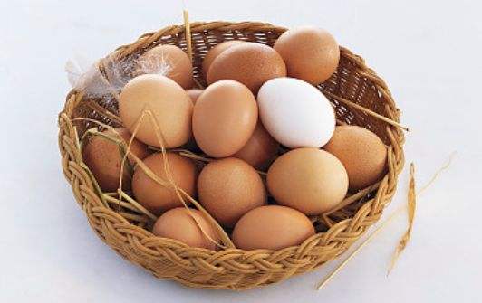蛋雞管理&nbsp;|&nbsp;如何更好的降低蛋雞料蛋比？