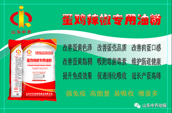 怎么預(yù)防蛋雞生病&nbsp;產(chǎn)蛋多