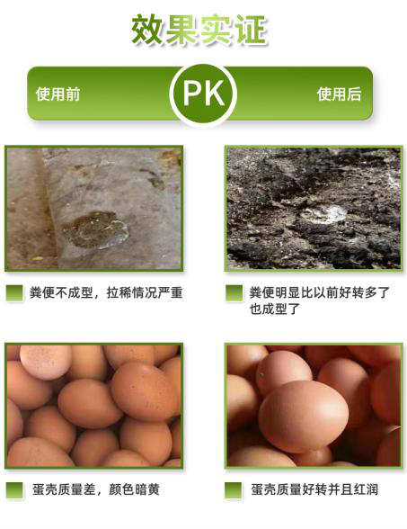 蛋雞辣椒油粉功效性油脂飼料原料