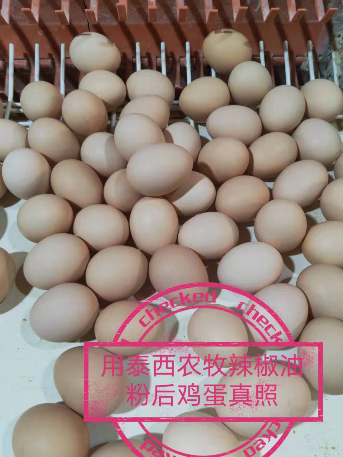 夏季凈槽問題更要重視生物辣椒油粉維護保養(yǎng)腸道菌群