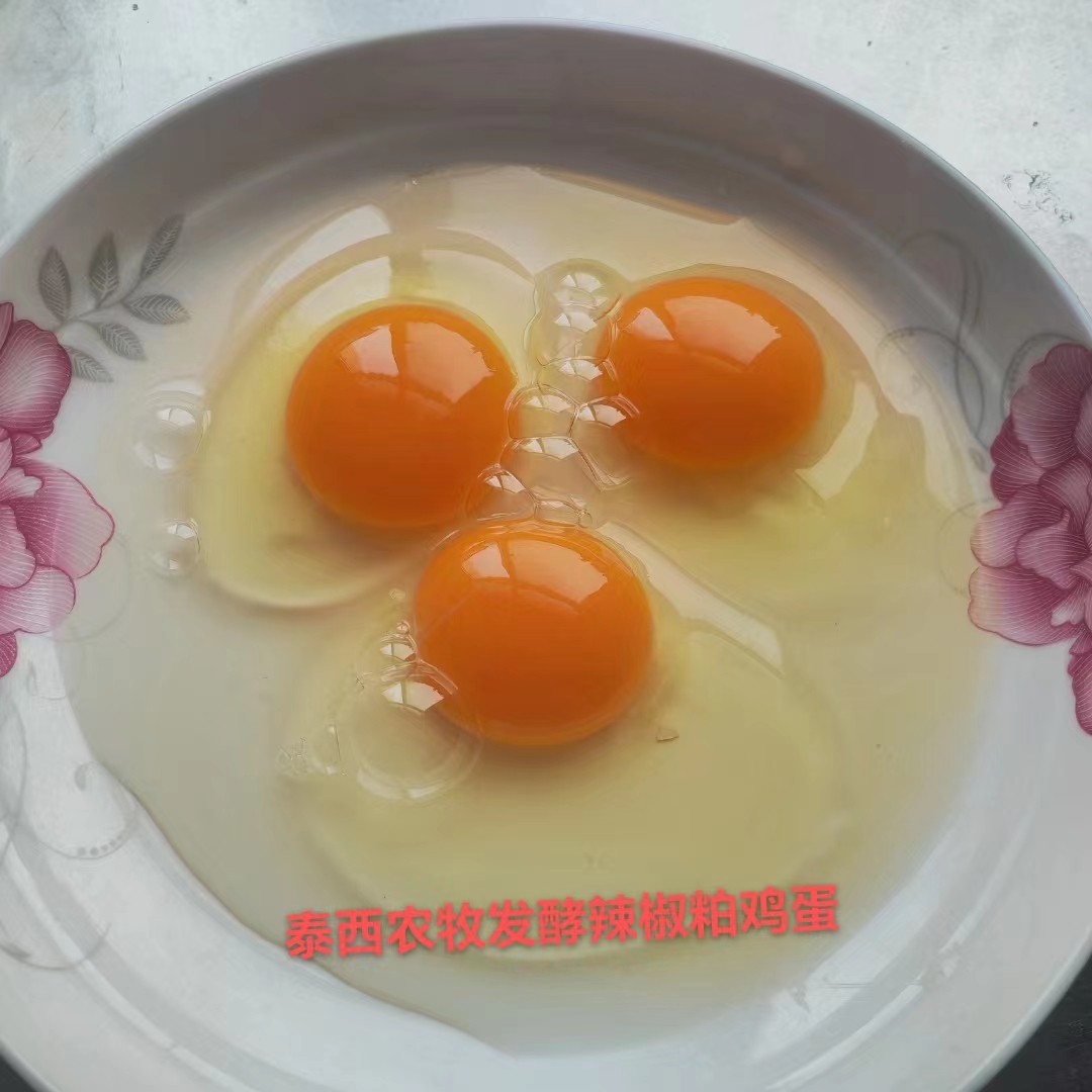 泰西農(nóng)牧發(fā)酵辣椒粕改變蛋黃顏色雞蛋口感無(wú)腥味
