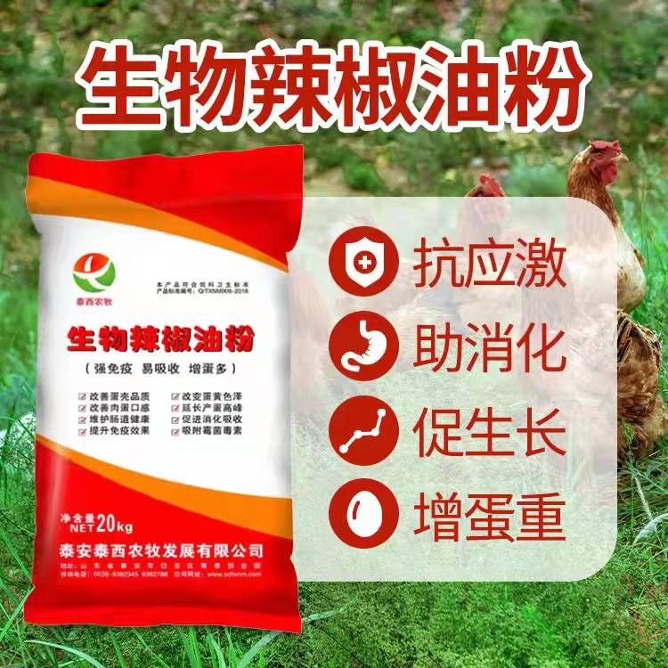 雞群冷應(yīng)激的管理調(diào)整措施添加泰西農(nóng)牧生物辣椒油粉