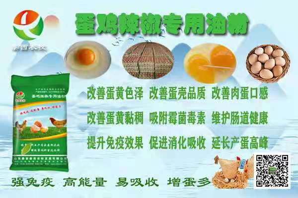 冬季雞舍空氣質(zhì)量的關(guān)鍵添加蛋雞辣椒油粉