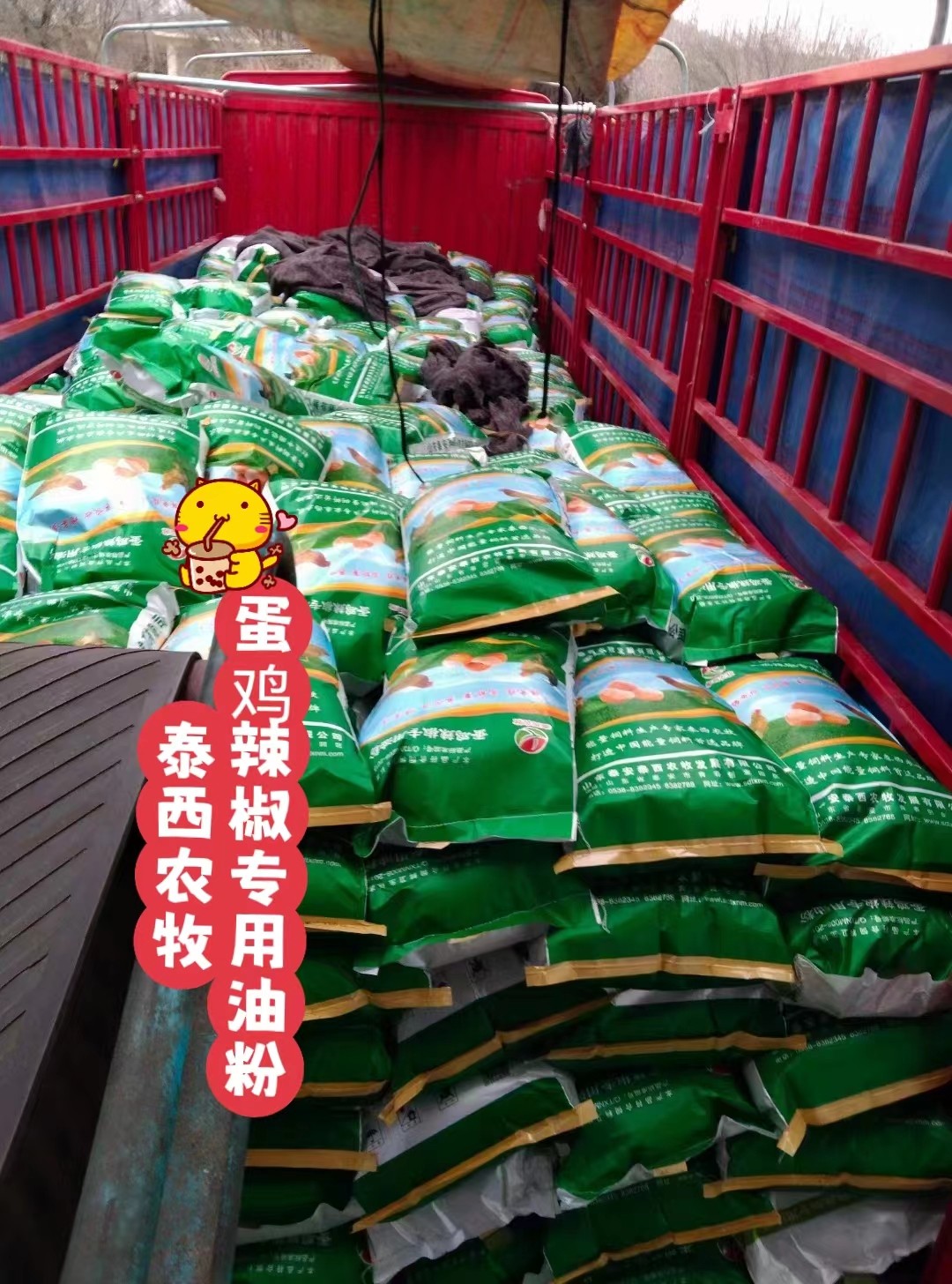 蛋雞辣椒專用油粉對(duì)蛋黃發(fā)白 軟皮蛋 破殼蛋有改變