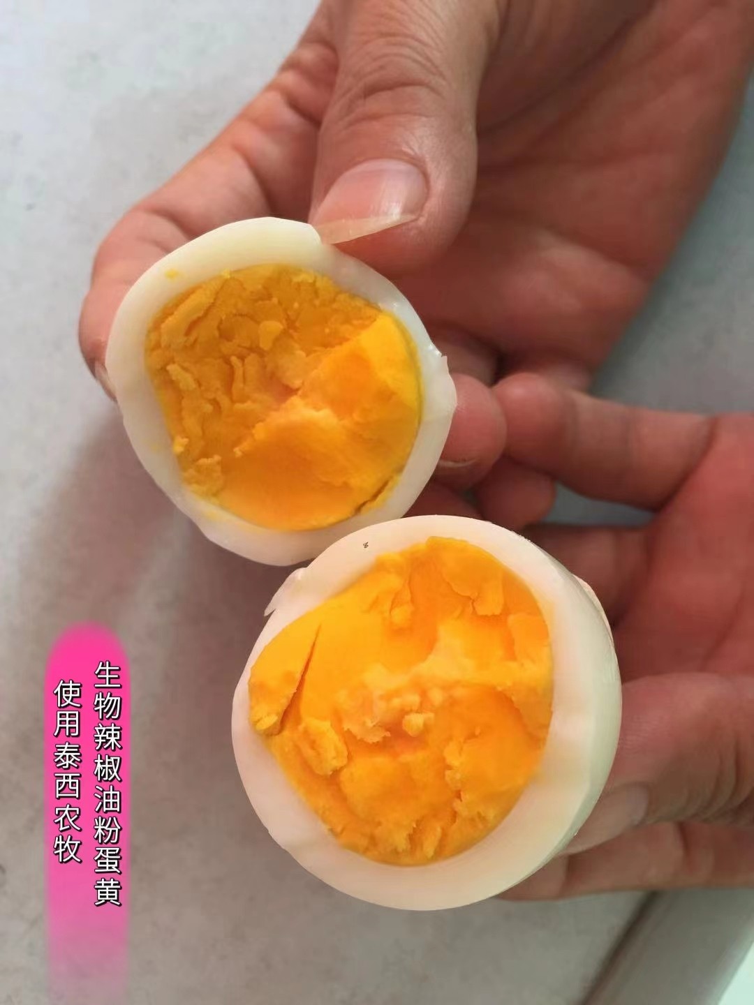 對提高母雞的蛋大小泰西農(nóng)牧生物辣椒油粉