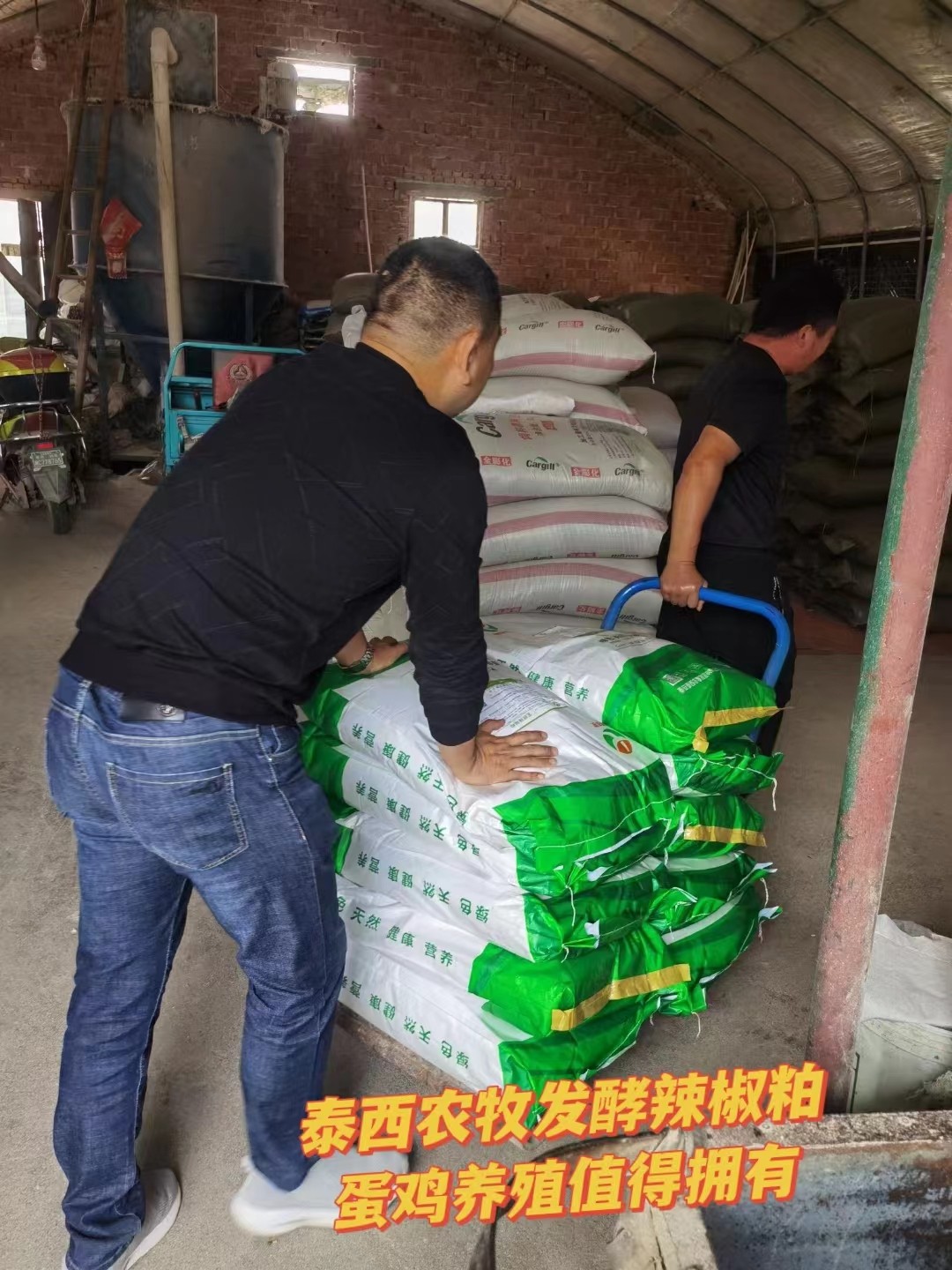 泰西農(nóng)牧發(fā)酵辣椒粕養(yǎng)雞就是養(yǎng)腸道&nbsp;挑雞降提升養(yǎng)雞效益