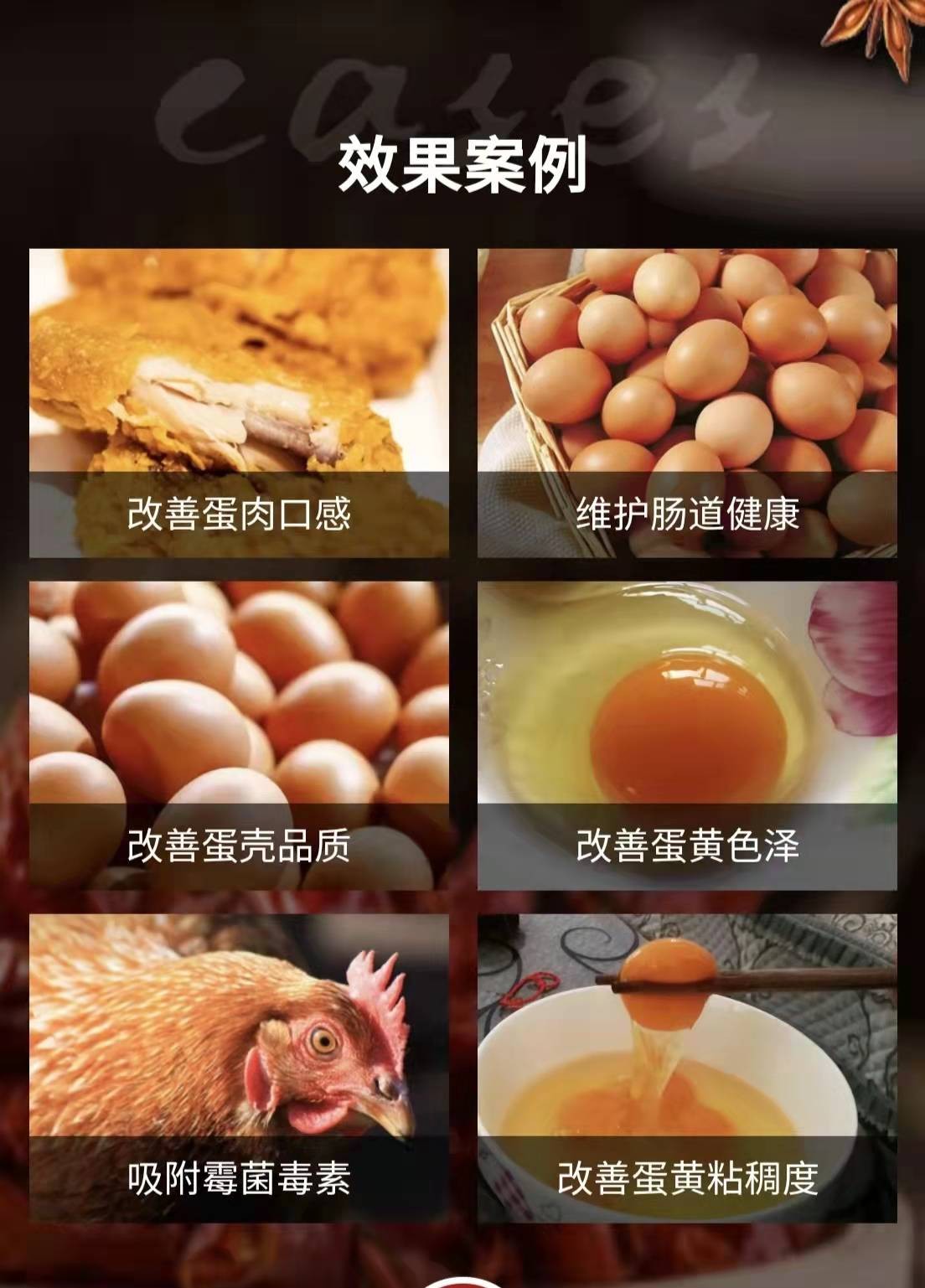 生物辣椒油粉分享夏季蛋雞產(chǎn)蛋疲勞癥的多發(fā)病