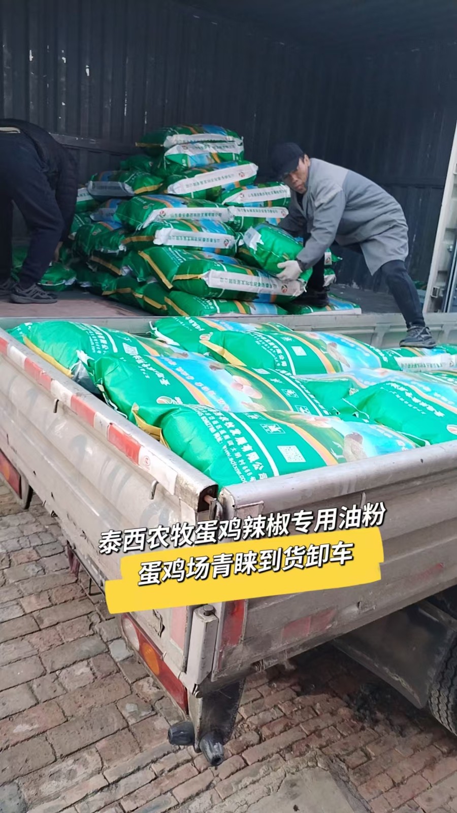 泰西農(nóng)牧蛋雞辣椒油粉完全可以替代其他油脂與油脂飼料